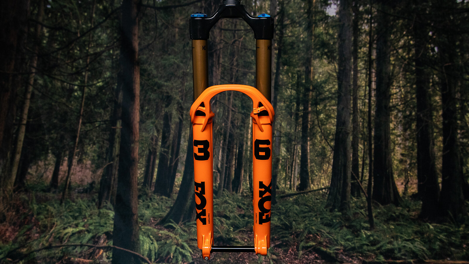 Fork Review | Fox 36 Factory GRIP X2 | Freehub Magazine